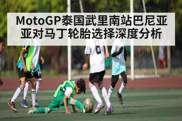 MotoGP泰国武里南站巴尼亚亚对马丁轮胎选择深度分析